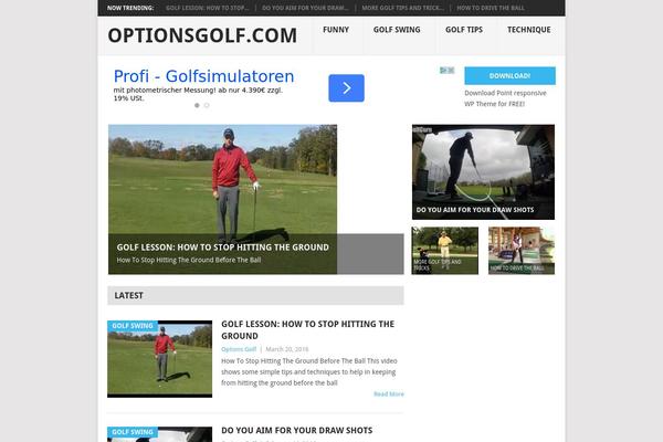 Point theme site design template sample