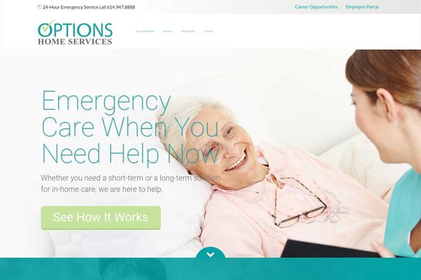 optionshomeservices.com site used Wordpress-bootstrap-master-child