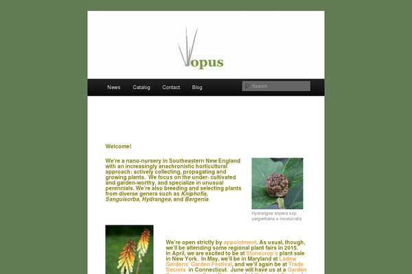 Site using FreshMail For WordPress plugin