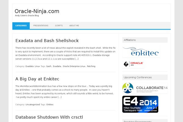 Iconic One theme site design template sample