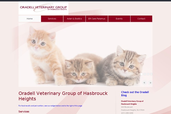 oradellveterinaryofhasbrouckheights.com site used Think