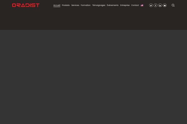 Site using Salient-portfolio plugin
