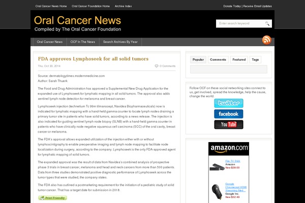 Fresh News theme site design template sample