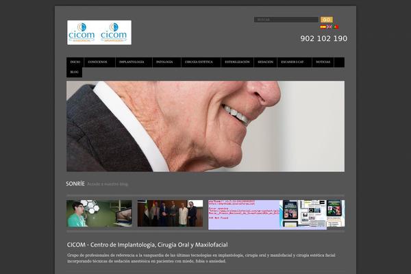 Site using Google Plus Badge plugin