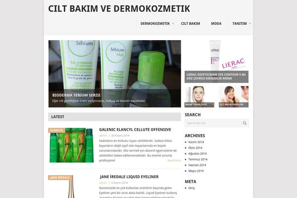 Point theme site design template sample