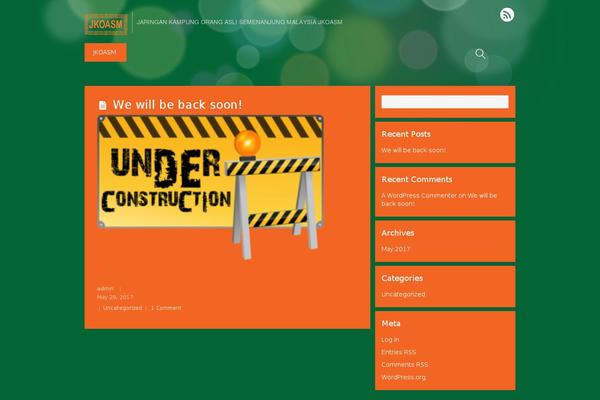 Allegro theme websites examples