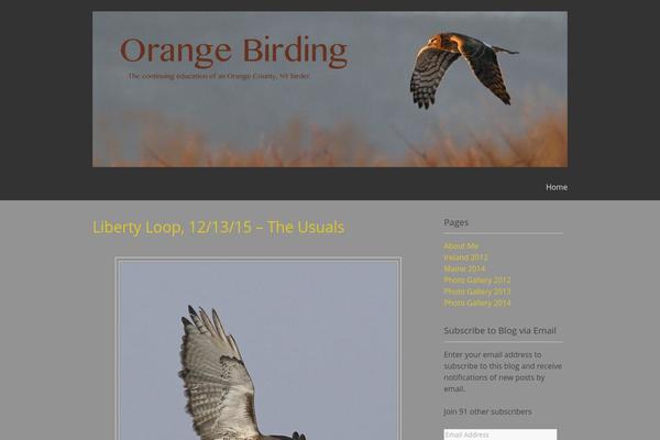 Kirumo theme site design template sample