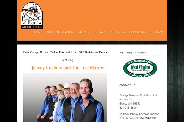 Acoustic theme site design template sample