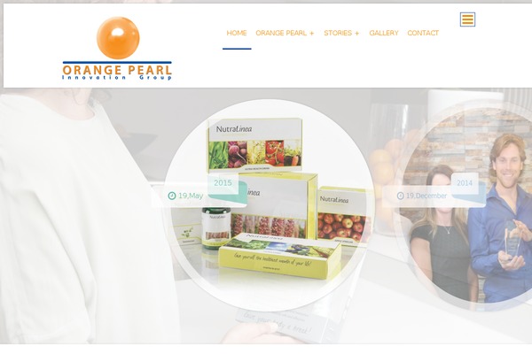 Storyline theme site design template sample