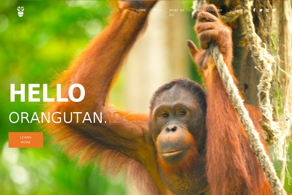 Site using Facebook Comments by Vivacity plugin