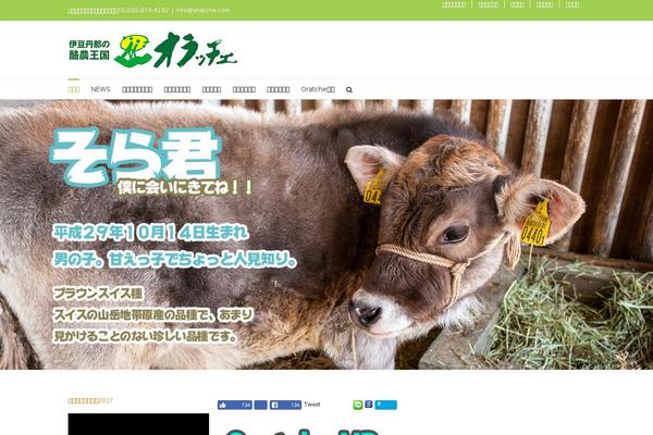 Site using Contact Form 7 add confirm plugin