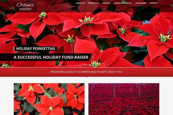 Kallyas theme site design template sample