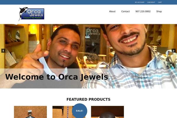 Envy-pro theme site design template sample