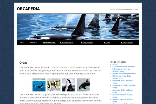 Site using Icegram plugin