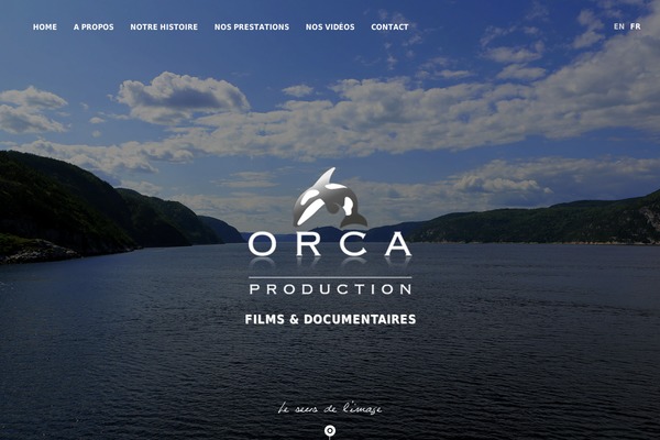 Orca theme site design template sample