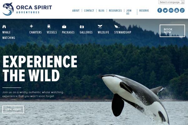 orcaspirit.com site used Orca