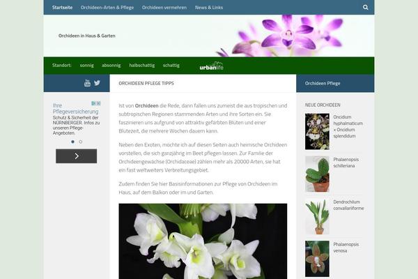 Huemanchild theme site design template sample