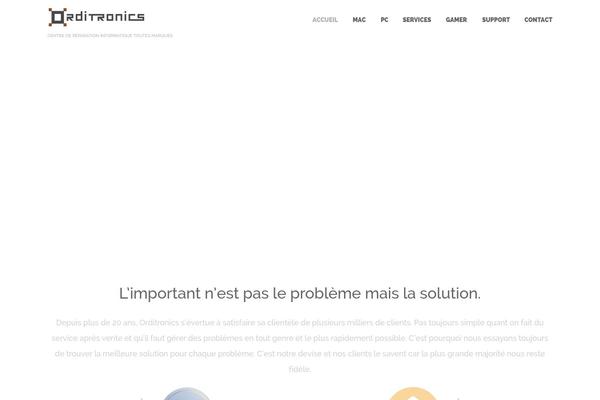 Site using Elfsight-popup-cc plugin