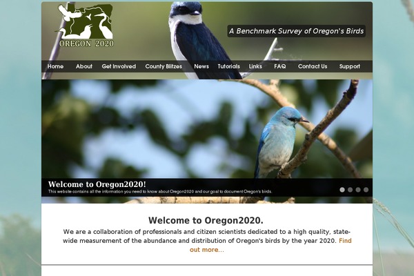 Site using Contact Form Manager plugin