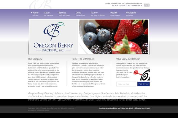 Blitz theme site design template sample