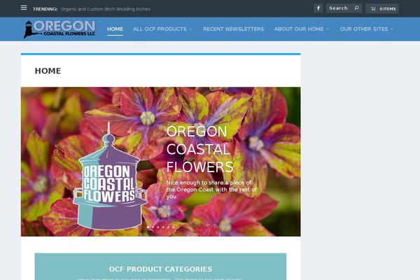 Site using Woocommerce-quick-checkout plugin