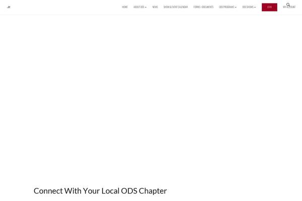 Zeko theme site design template sample