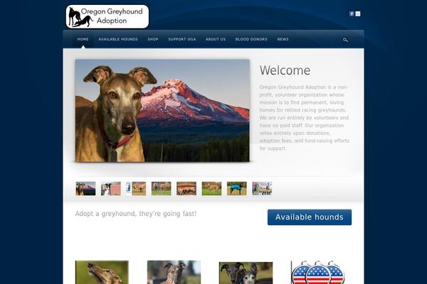 Awake theme site design template sample