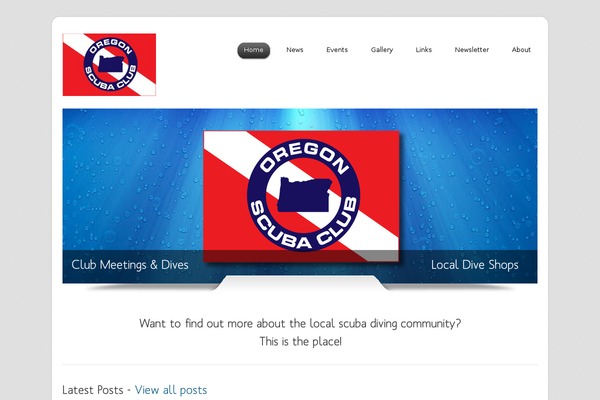 Dzonia theme site design template sample