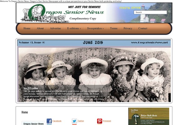 Site using Ad King Pro plugin