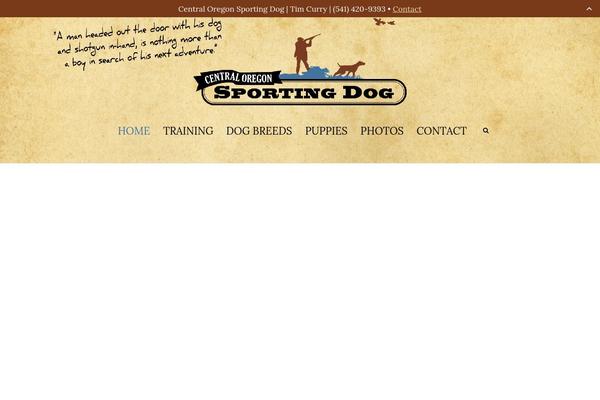 Site using DW Promobar plugin