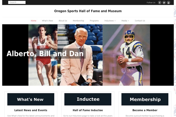 Site using YouTube Simple Gallery plugin