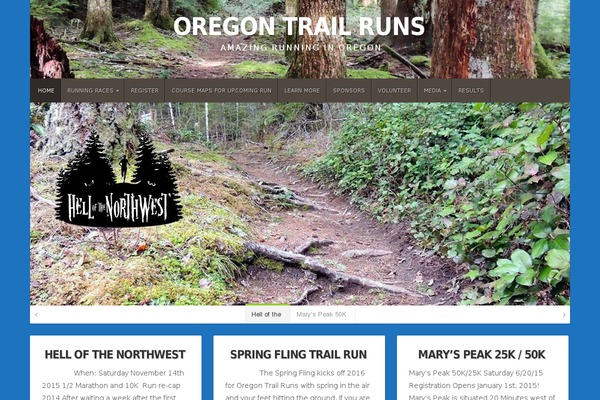 Site using Features by WooThemes plugin