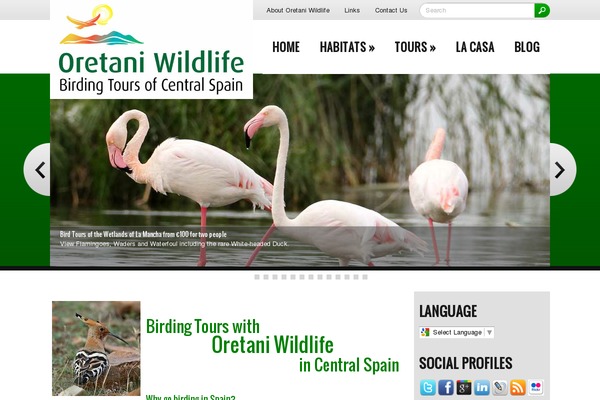 Nature theme site design template sample