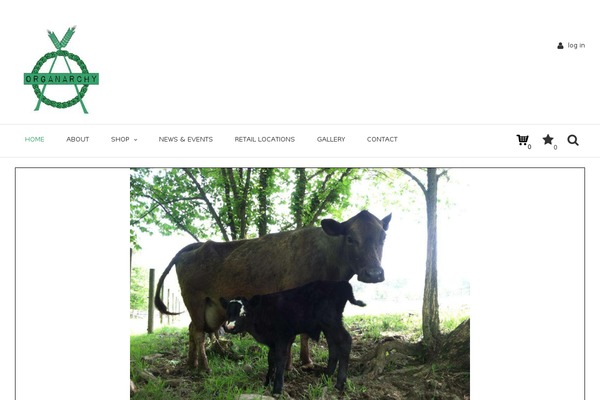 Site using a3 Responsive Slider plugin