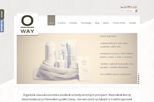 RT-Theme 17 theme site design template sample