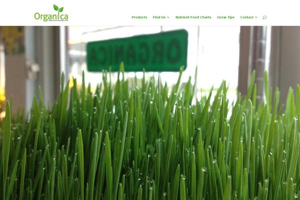 Divi theme site design template sample