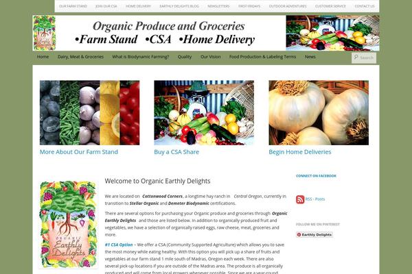 Boot Store theme site design template sample