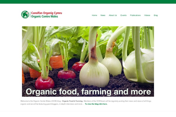 Craft theme site design template sample