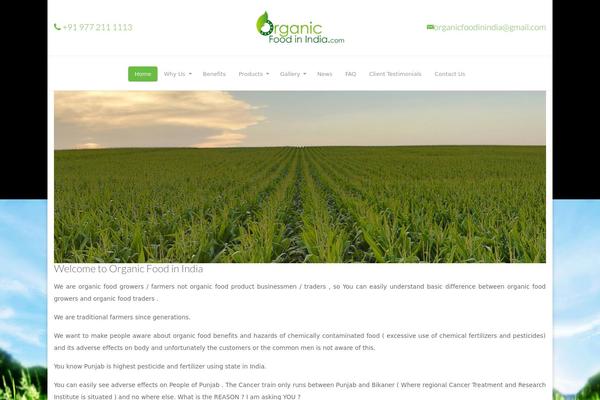 OrganicFood theme site design template sample