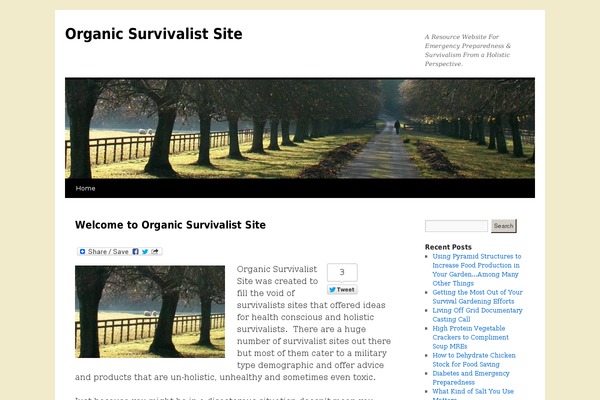 WP Bootstrap 4 theme site design template sample