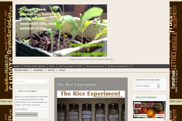 Magazine Basic theme site design template sample
