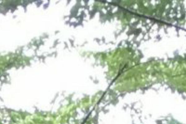 Twenty Seventeen theme site design template sample