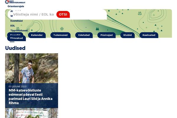Site using Flying-analytics plugin
