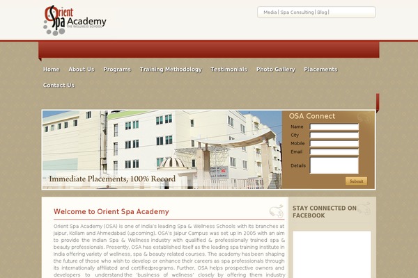 Thesis_18b1 theme site design template sample