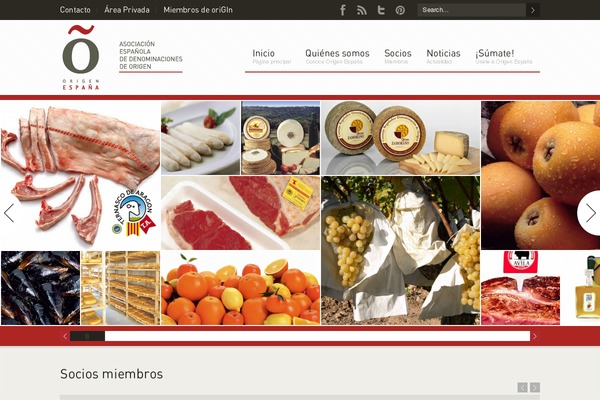 Duotive Three theme site design template sample