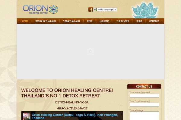 orionhealing theme websites examples