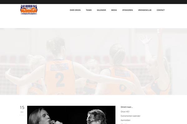 Elision Child theme site design template sample