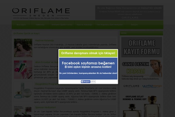 elif theme websites examples