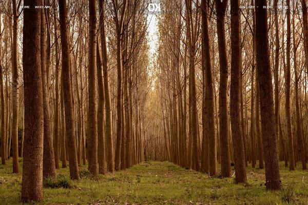 Grandphotography theme site design template sample