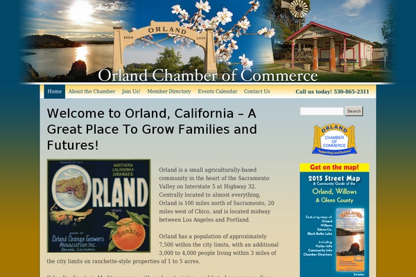 Lifestyle Pro theme site design template sample